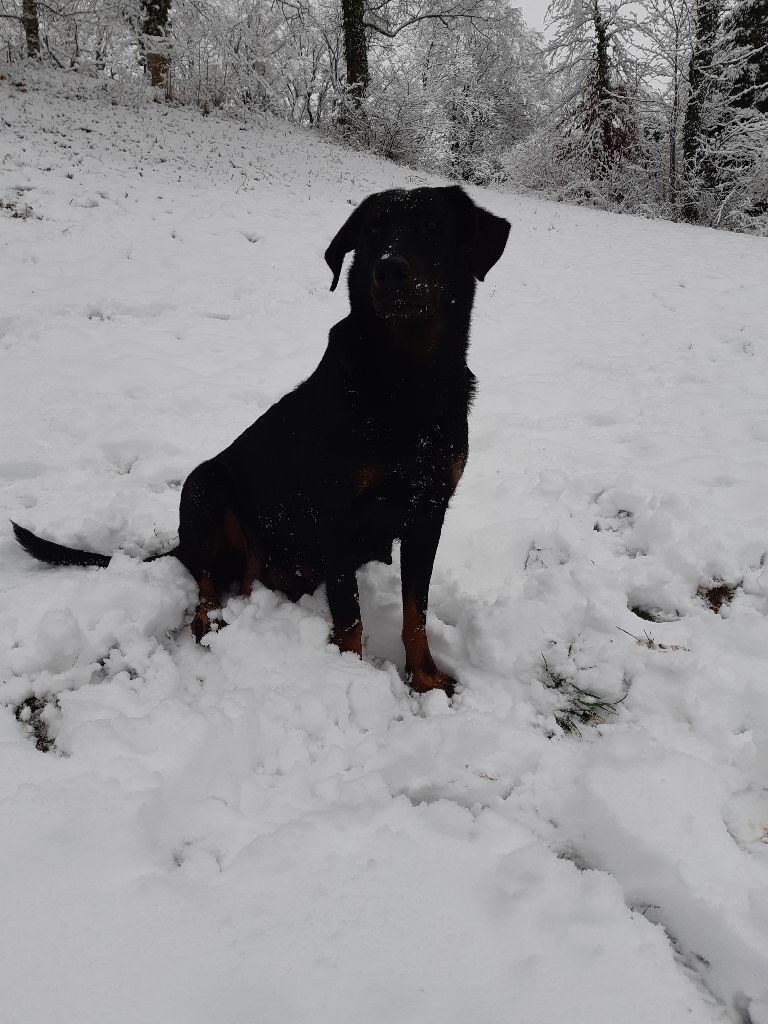 de la P'tiote Reine - ESCAPADE DANS LA NEIGE POUR MAMAN RAISON