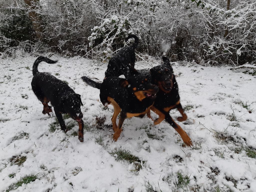 de la P'tiote Reine - LES REINES ET LA NEIGE...