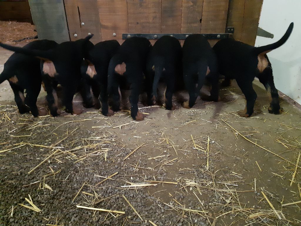 de la P'tiote Reine - LES BEBES DE RAISON ONT BIEN GRANDI !